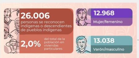 En Misiones, 26.006 personas se reconocen indígenas o descendientes de pueblos indígenas En Misiones, 26.006 personas se reconocen indígenas o descendientes de pueblos indígenas imagen-3