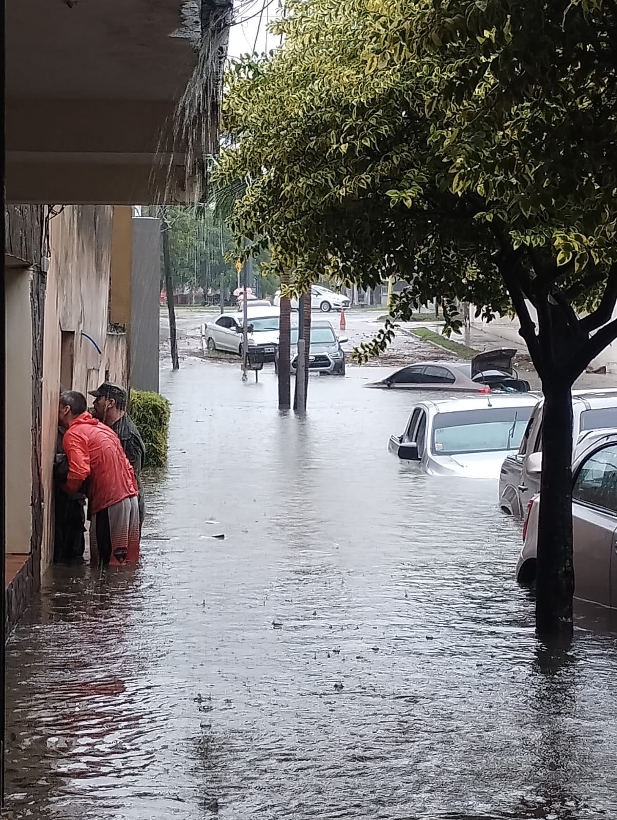 Corrientes sufre "la peor catástrofe natural" por inundaciones y hay temor por saqueos imagen-8