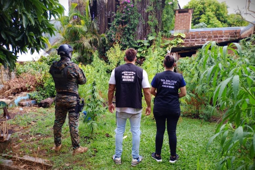 Misiones con sostenidos avances en la lucha contra el narcotráfico, destacan imagen-58