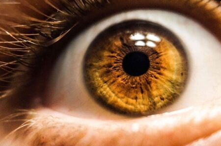 Campaña Nacional de Detección de Glaucoma 2024: Harán revisiones oculares gratuitas el 15 de marzo en Misiones imagen-7