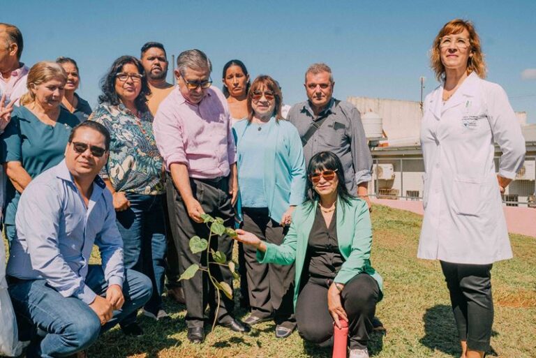 Realizaron la inauguración de un arboterum en el Hospital de Itaembé Guazú para homenajear al personal de salud imagen-9