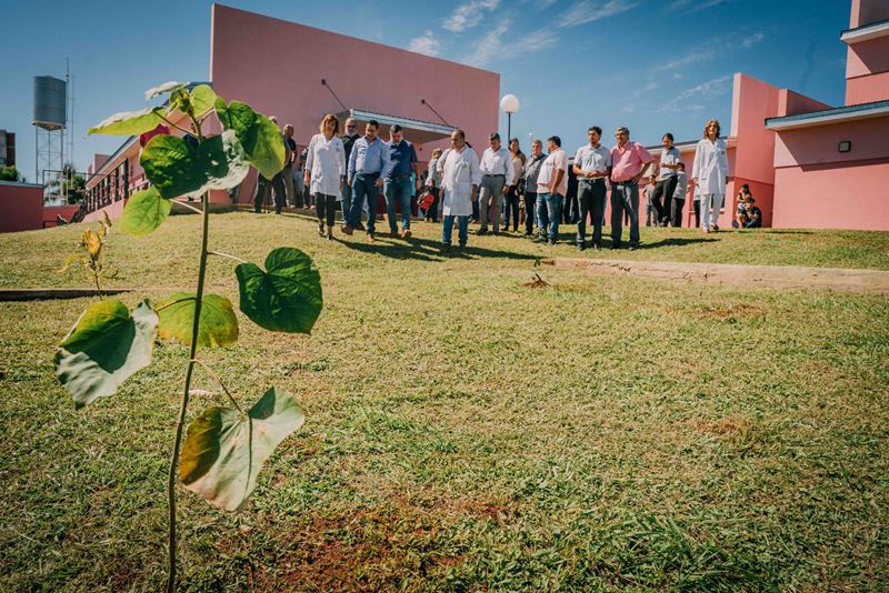 Realizaron la inauguración de un arboterum en el Hospital de Itaembé Guazú para homenajear al personal de salud imagen-12
