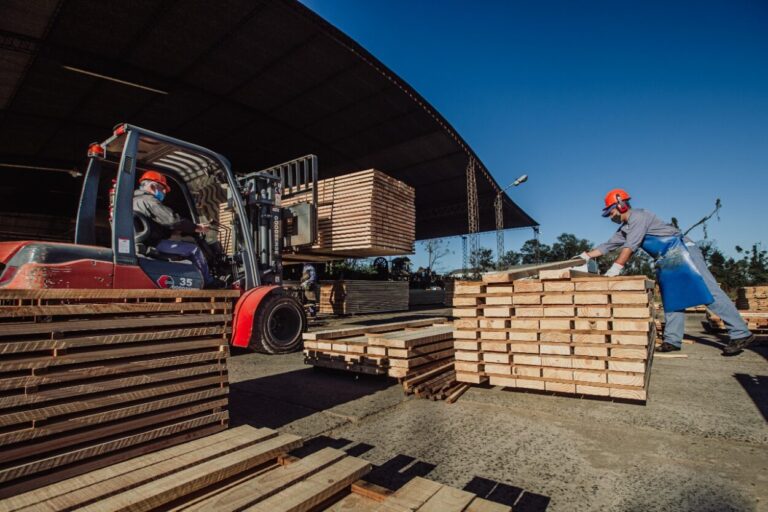 Analizan modalidad de exportación de productos forestales a la Unión Europea imagen-34