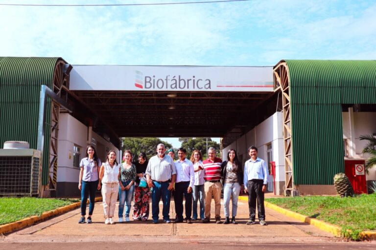 Misiones trabaja con especialistas internacionales para el intercambio de tecnologías en la producción de frutas imagen-32