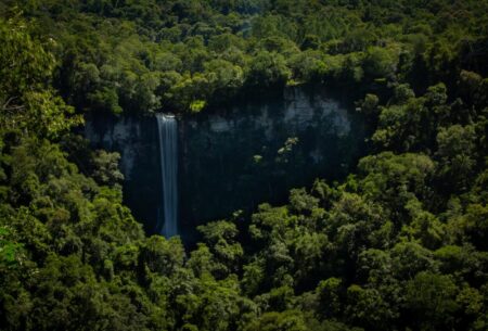 La cascada oculta de Misiones que queda cerca de Iguazú: mide 64 metros e impacta por su belleza imagen-2