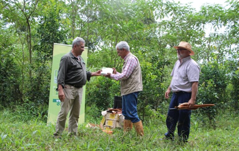 Luis Díaz Espeche, de San Pedro, es el Productor Yerbatero 2023 imagen-40