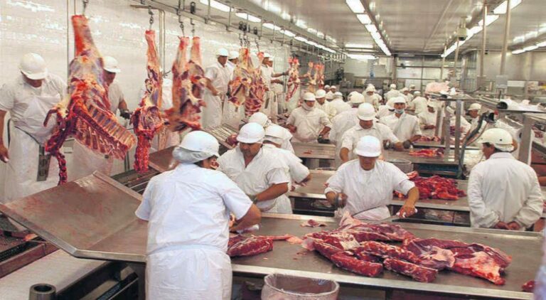 Frigoríficos, en alerta ante la caída del consumo de la carne vacuna imagen-30