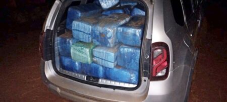 Gendarmería halló un vehículo robado y abandonado con más de 500 kilos de cogollos de marihuana imagen-6