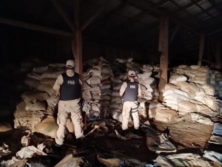 Incautan en Alba Posse más de 200 toneladas de soja sin avales aduaneros imagen-3