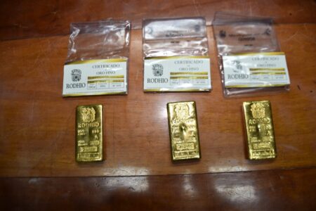 Operativo "Cruce Dorado": detienen a un argentino y a un alemán con un cargamento ilegal de lingotes de oro imagen-10