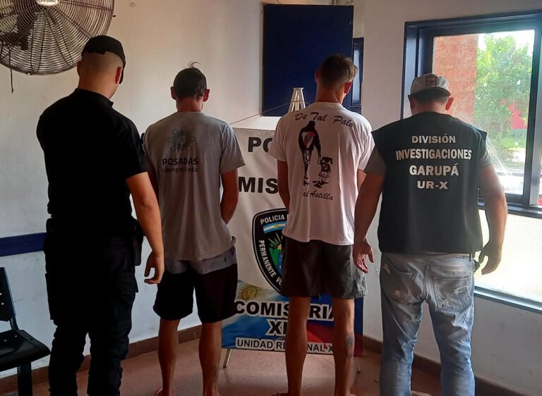 Operativos de fin de semana: detuvieron a 6 personas implicadas en distintos robos imagen-5