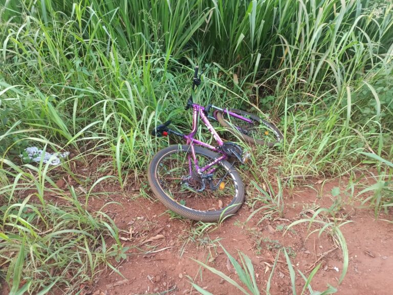 Una ciclista perdió la vida en un siniestro vial en Puerto Esperanza imagen-45