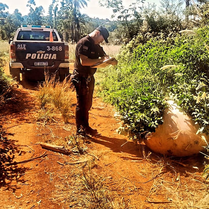 Rápida acción policial impidió el robo de materia prima para la producción de yerba mate imagen-16