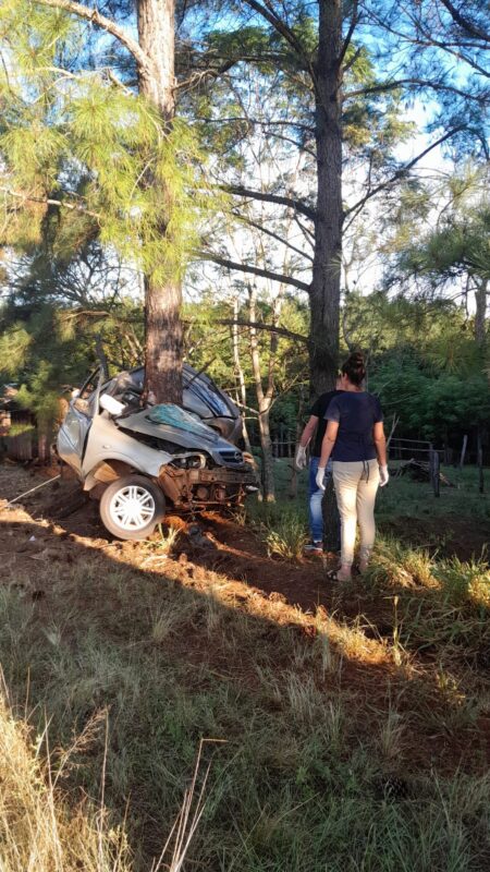Un hombre murió al despistar su auto y chocar contra un árbol en Alba Posse imagen-1