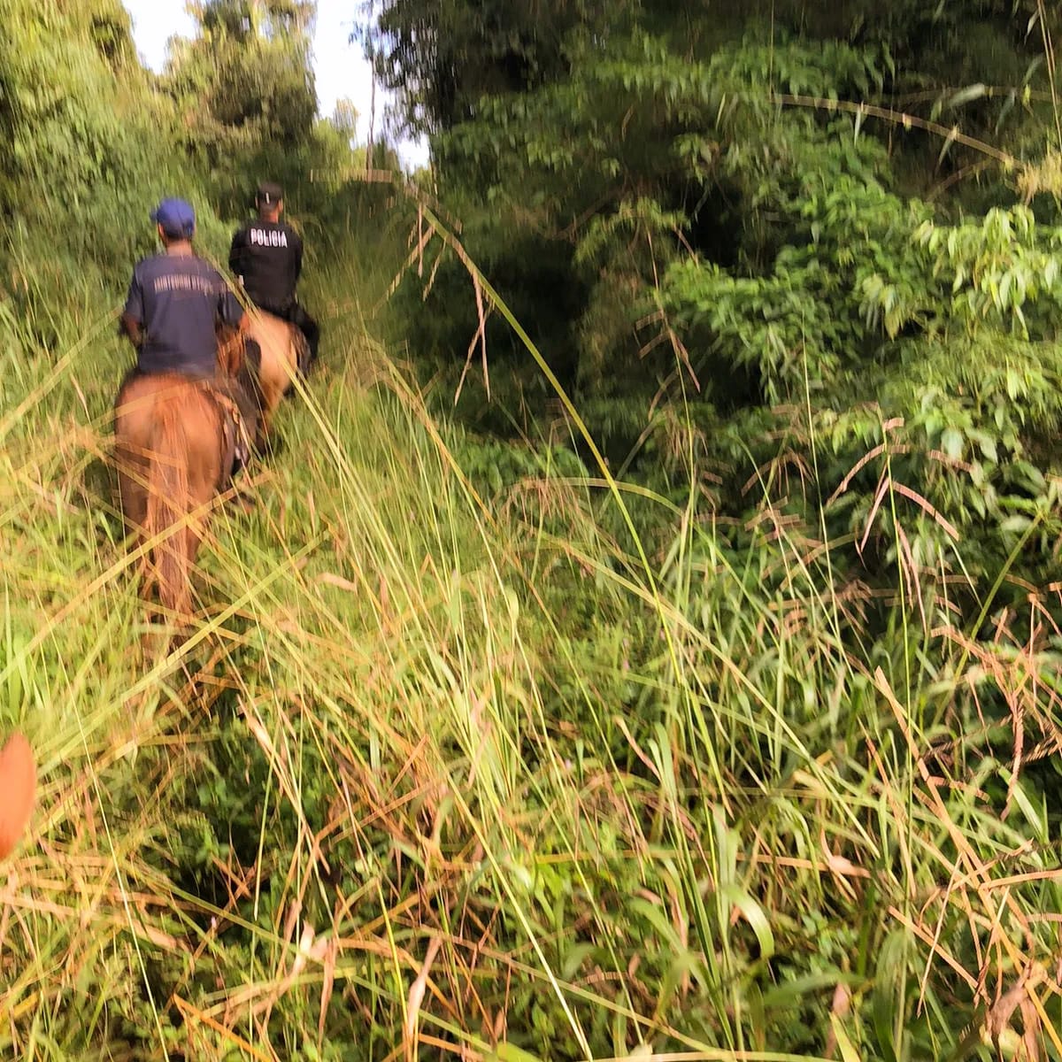 Rescataron a pescador que estuvo perdido en la selva por casi 10 horas imagen-2