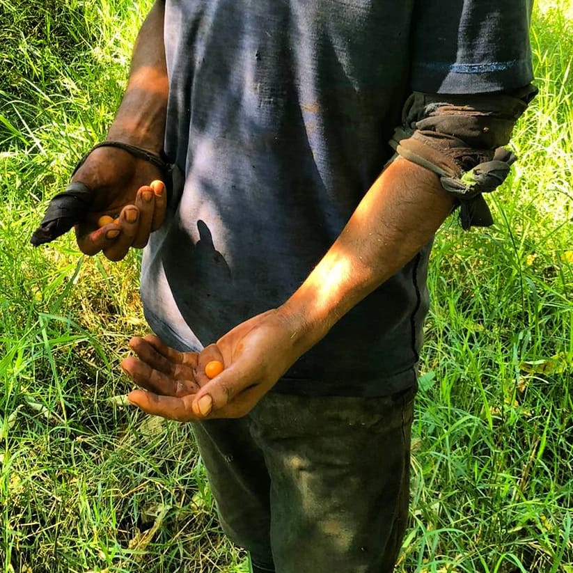 Rescataron a pescador que estuvo perdido en la selva por casi 10 horas imagen-4