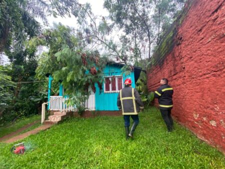Oberá: Bomberos de la Policía asistieron a una abuela que sufrió la caída de un árbol sobre su casa imagen-5