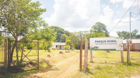 El Parque Rural propone actividades educativas y de concientización ambiental imagen-9
