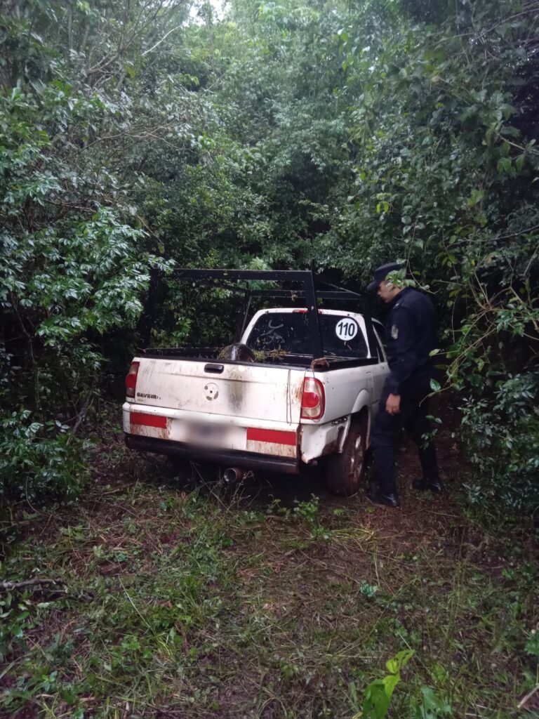 San Ignacio: policías ubicaron una camioneta robada oculta en una zona de malezas imagen-42