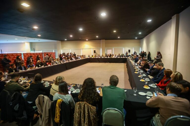 En VI Asamblea Nacional de Intendentes, Misiones contó su experiencia en ley de Humedales En VI Asamblea Nacional de Intendentes, Misiones contó su experiencia en ley de Humedales imagen-24