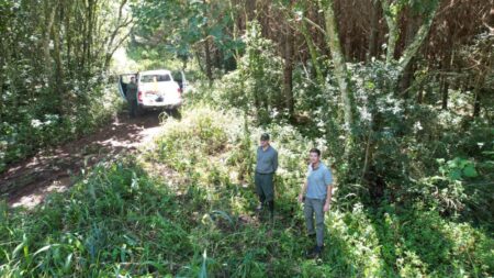 Semana intensa de controles y monitoreos por parte de los inspectores forestales imagen-34