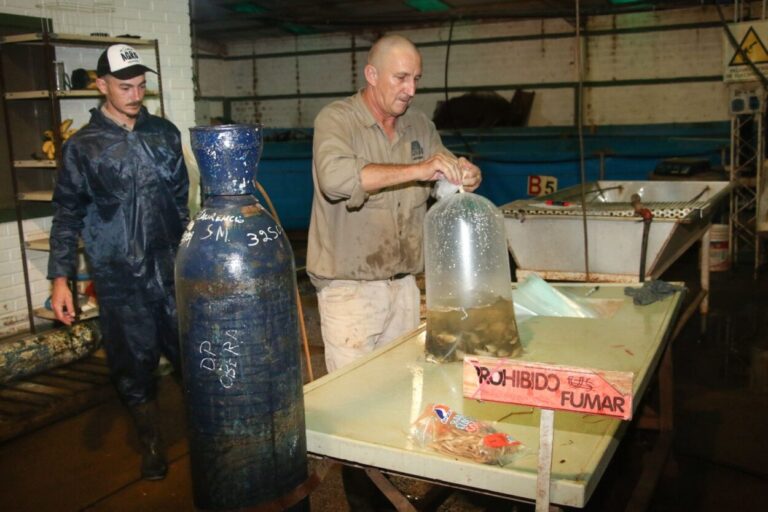 "+ Piscicultura": entregaron alevines para fortalecer la cuenca productora de peces de Misiones imagen-17