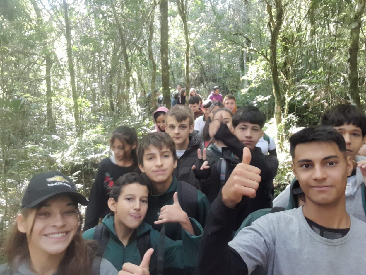 Estudiantes secundarios participaron de una jornada de educación ambiental en el Parque Provincial de la Araucaria imagen-41