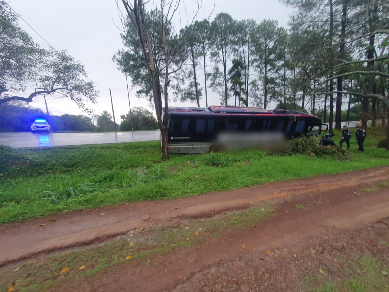 San Martín: ómnibus despistó sobre ruta 103 tras descompensación del chofer, no hubo pasajeros heridos imagen-4