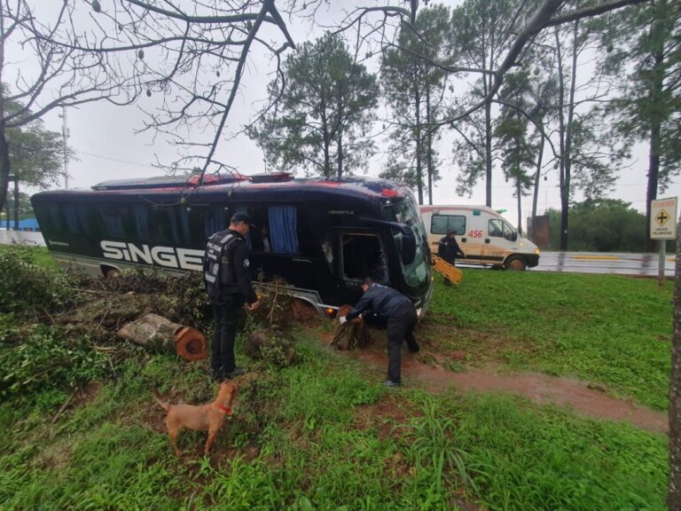 San Martín: ómnibus despistó sobre ruta 103 tras descompensación del chofer, no hubo pasajeros heridos imagen-28