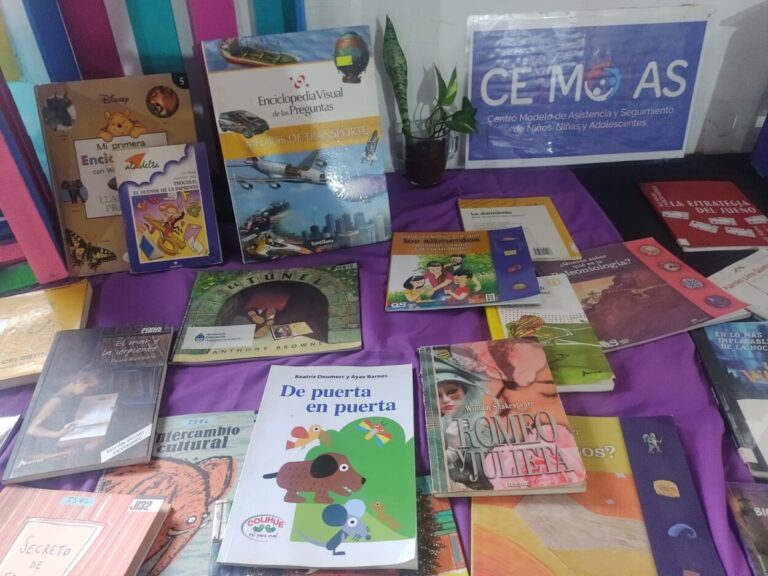 Ce.Mo.As. recibió libros en donación para incentivar el hábito de la lectura en niños y adolescentes imagen-25