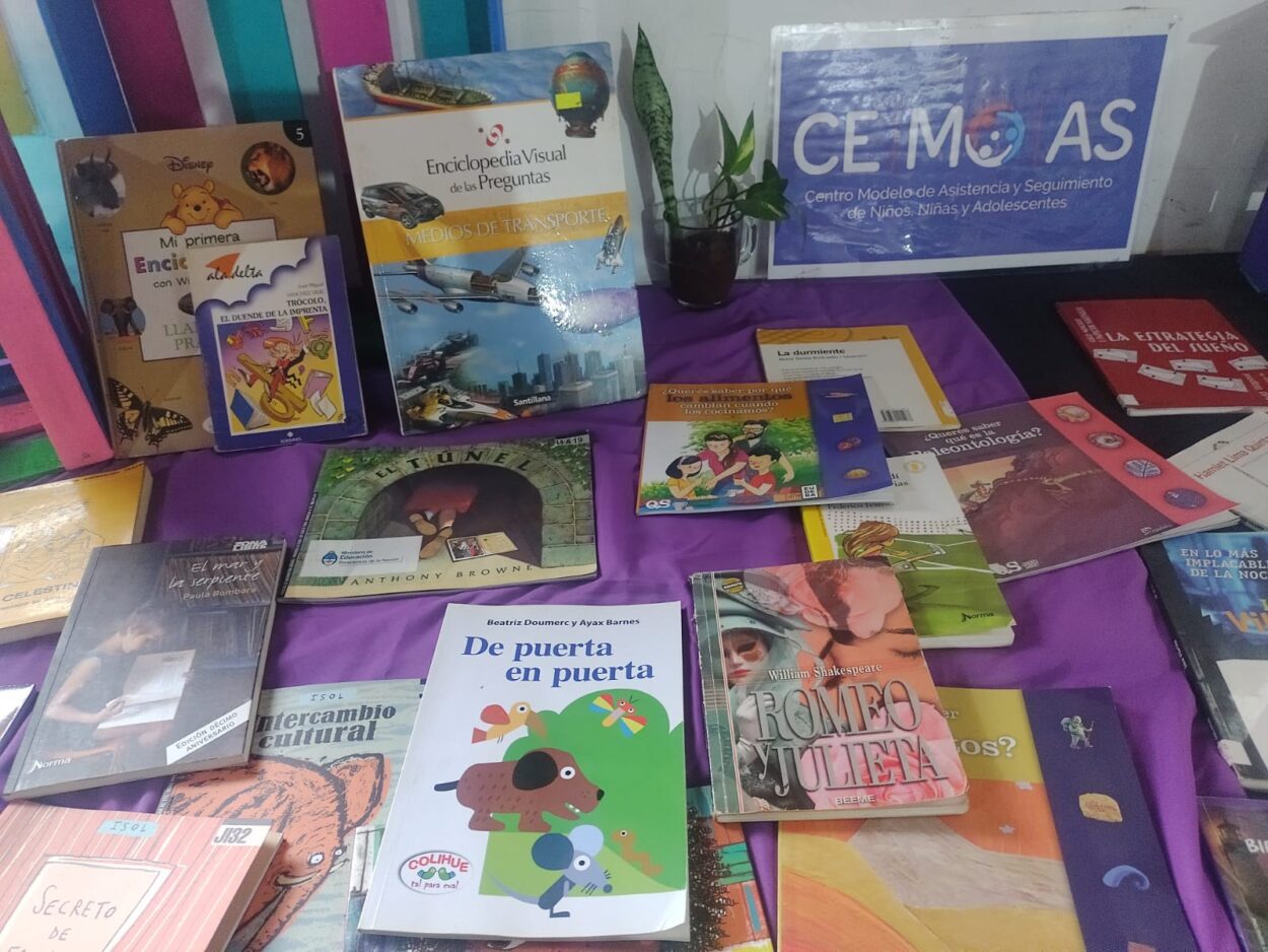 Ce.Mo.As. recibió libros en donación para incentivar el hábito de la lectura en niños y adolescentes imagen-7
