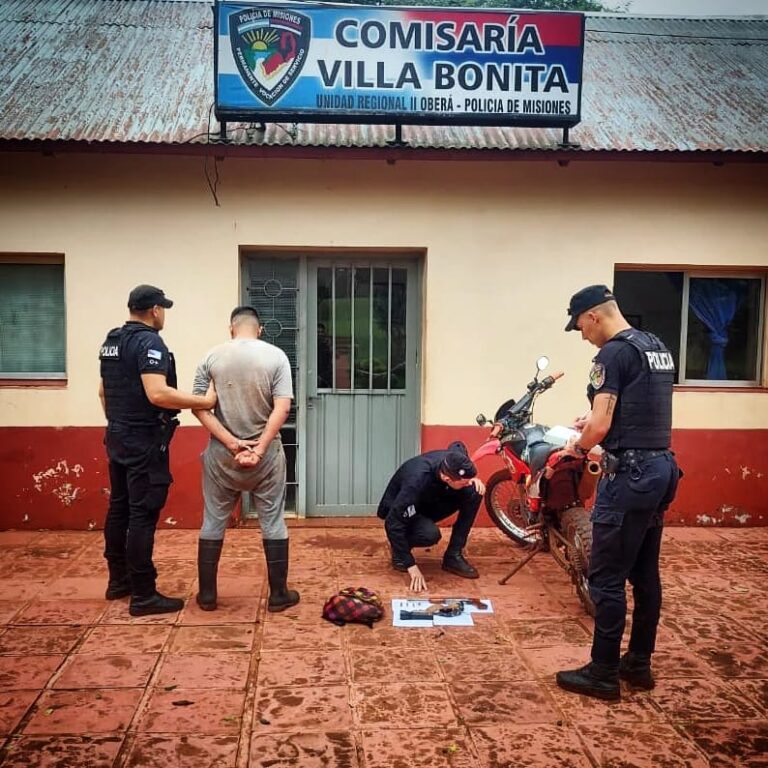 Mató de un disparo a un cerdo de una vecina para robarlo: fue arrestado por la Policía imagen-16