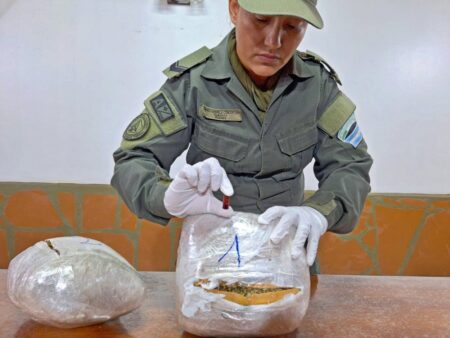 Con ayuda de "Gringo", secuestran en El Arco más de ocho kilos de marihuana imagen-15
