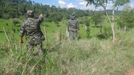 Operativo “Montaraz”: Se detectaron aguantaderos de cazadores furtivos, trampas y redes de pesca imagen-2
