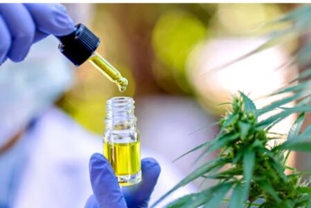 El Gobierno avanza en la restricción al uso medicinal del cannabis: las 9 enfermedades que considera con “evidencia científica” imagen-8
