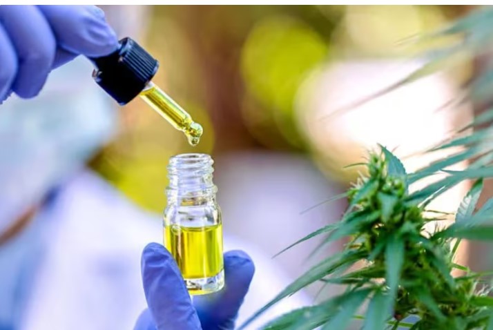 El Gobierno avanza en la restricción al uso medicinal del cannabis: las 9 enfermedades que considera con “evidencia científica” imagen-41