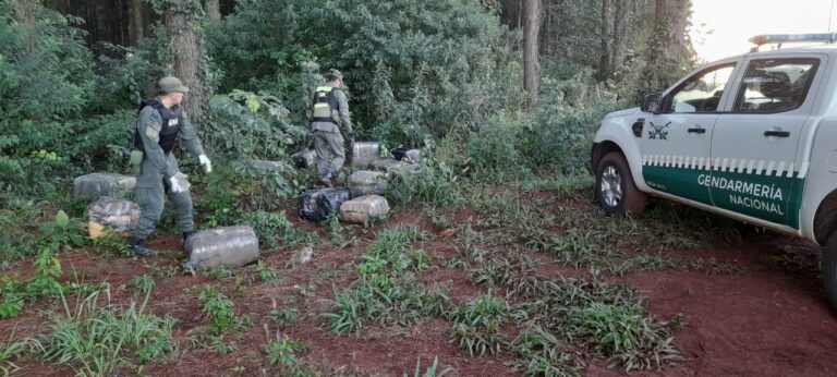 Arrojaban bultos en un pinar de Wanda, llegó Gendarmería y descubrió 293 kilos de marihuana Arrojaban bultos en un pinar de Wanda, llegó Gendarmería y descubrió 293 kilos de marihuana imagen-17