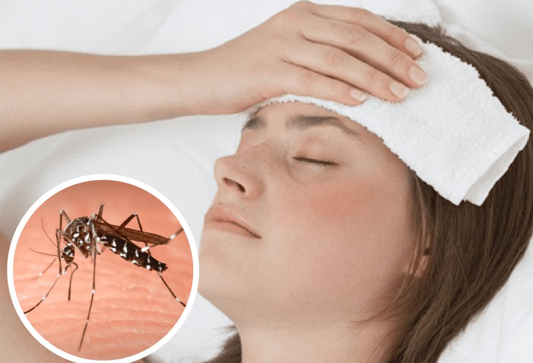 El dengue llegó a Europa y pone en alerta a la agencia sanitaria de la UE imagen-9