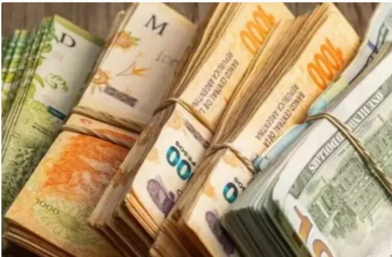 Nación sólo priorizó el pago de la deuda externa con alto costo social y productivo en el primer trimestre Nación sólo priorizó el pago de la deuda externa con alto costo social y productivo en el primer trimestre imagen-5