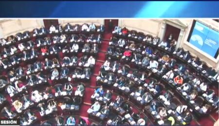 Ley Bases: Diputados aprobaron las facultades delegadas de Milei imagen-32