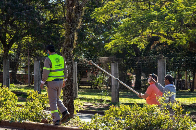 Comienzan los preparativos para los próximos Operativos Integral de Poda en Posadas  imagen-35