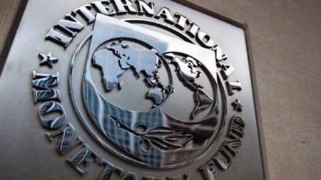 El FMI ratifica que espera recesión en la Argentina este año y recuperación el próximo imagen-14