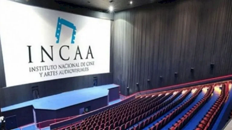 El Gobierno oficializará el cierre del Instituto Nacional de Cine y Artes Audiovisuales imagen-1