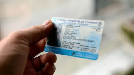 Ciberdelito: robaron la base de datos de todas las licencias de conducir de Argentina imagen-5