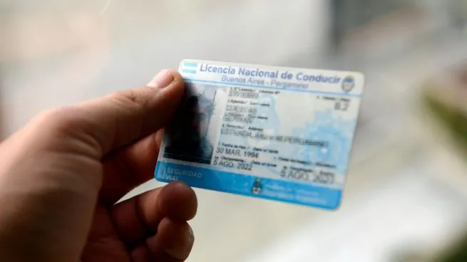 Ciberdelito: robaron la base de datos de todas las licencias de conducir de Argentina imagen-61