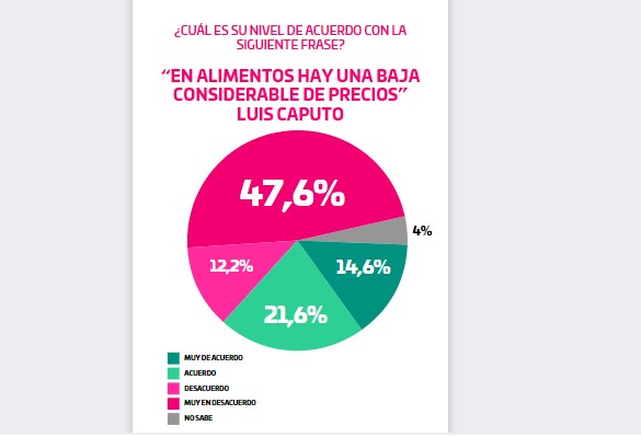 Informe Zuban Córdoba & Asociados: de imagen, Dengue y otros conflictos, la tensa estabilidad en la Argentina libertaria imagen-49
