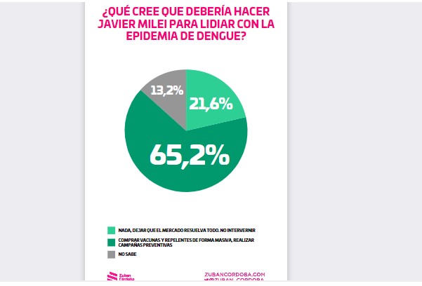 Informe Zuban Córdoba & Asociados: de imagen, Dengue y otros conflictos, la tensa estabilidad en la Argentina libertaria imagen-37