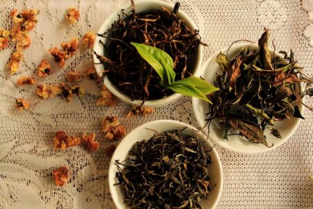 El Ministerio del Agro invita a conocer la experiencia del té imagen-15