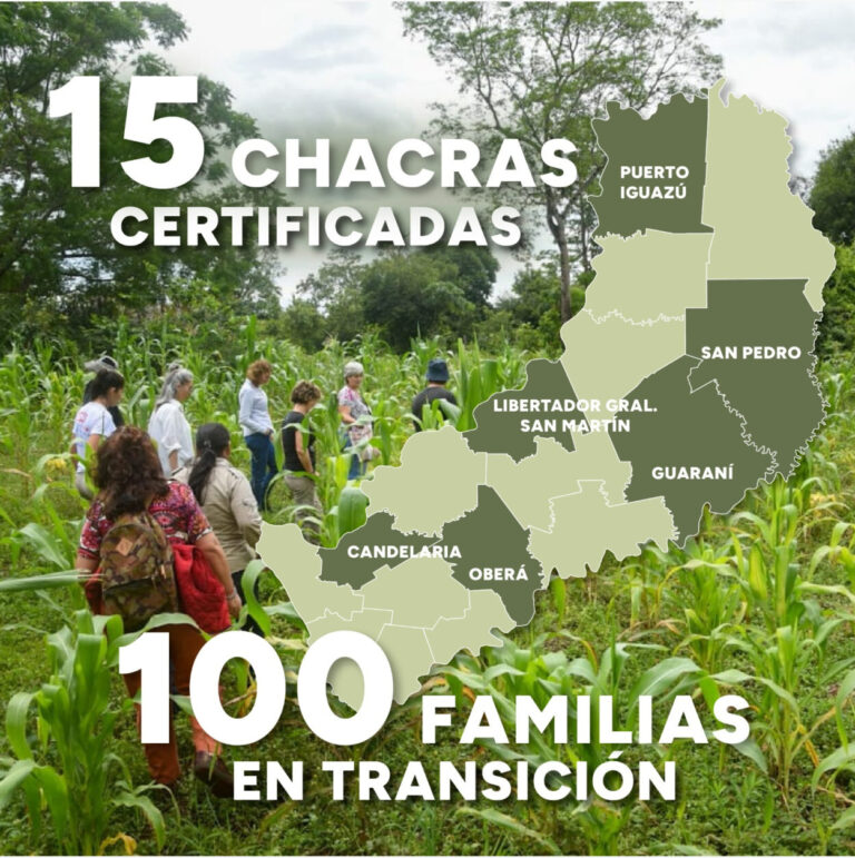 Con más de 650 hectáreas de chacras agroecológicas la provincia promueve el "futuro verde" en la región imagen-9