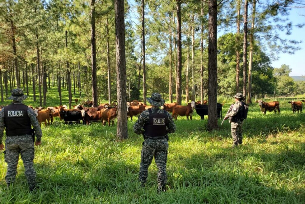 Misiones fortaleció su seguridad integral con avances tecnológicos y mayor presencia en territorio, destacan imagen-4